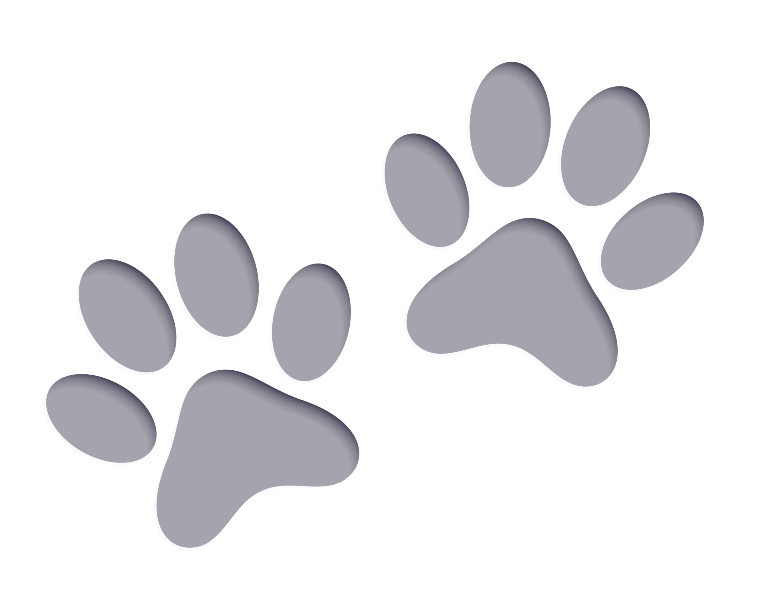 44541443 sl 011023 55240 13